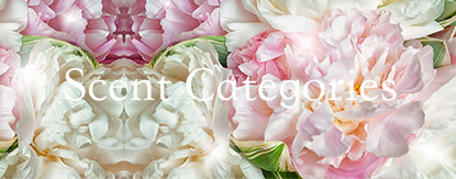 Scent Categories